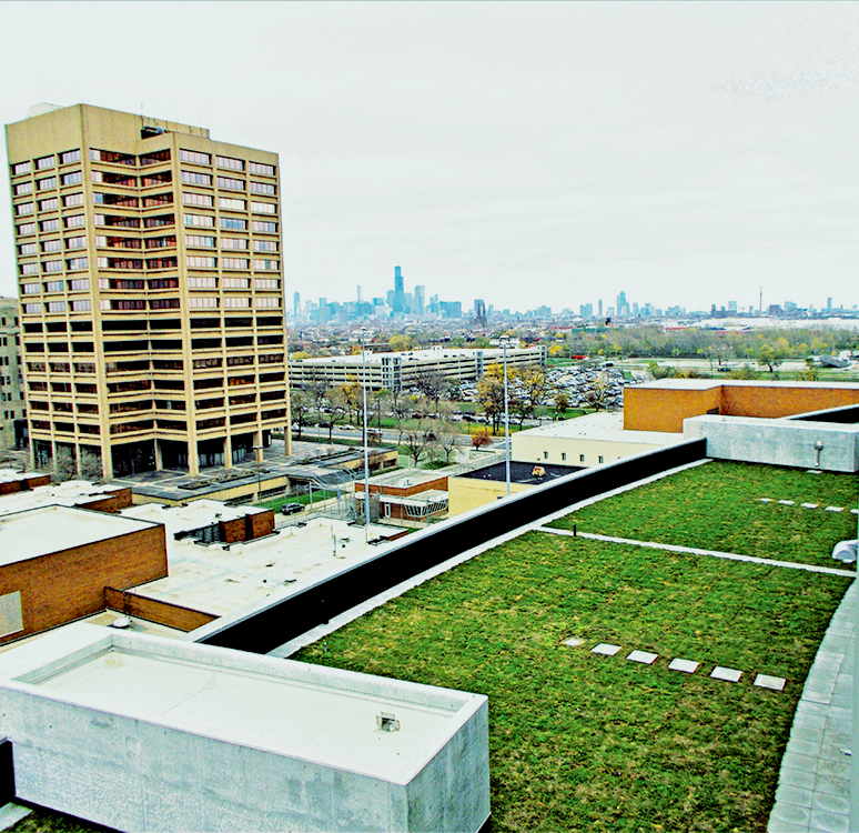 Green Roof Aerial 2