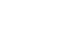 premium choice cat litter