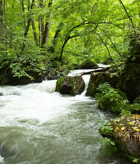 Rolling Creek