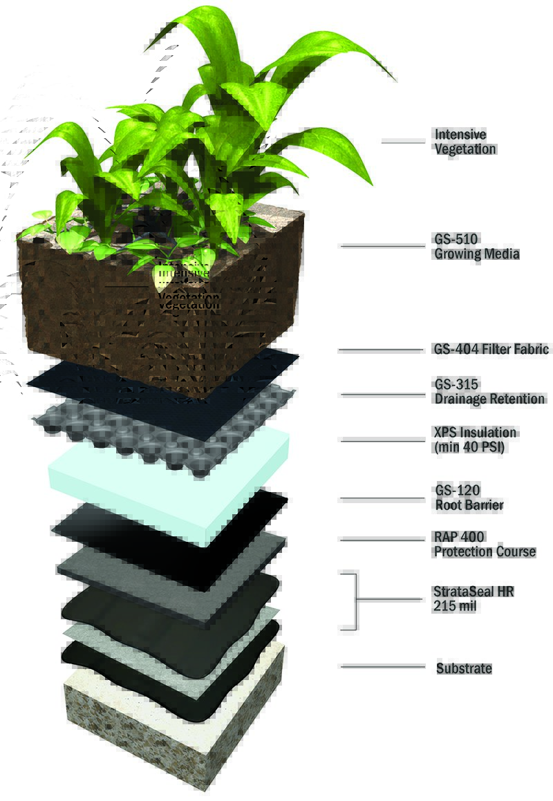 strataseal-hr-intensive-green-roof-assembly-with-insulation strataseal-hr-intensive-green-roof-assembly-with-insulation