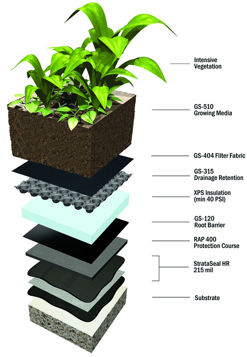 strataseal-hr-intensive-green-roof-assembly-with-insulation