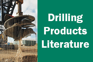 website-dp-literature